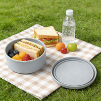 Boîte à lunch en silicone, compatible micro-ondes, hermétique, avec couvercle épaissi, portable, de qualité alimentaire, design moderne et minimaliste, individuelle