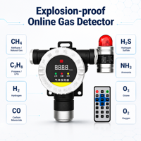 Detector de Gas Fijo a Prueba de Explosiones Bayou-Lok con Alarma de Concentración y Precisión del 1% para Gases Combustibles CH4, C3H8, H2, CO, H2S, NH3, O3