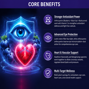 Complément Herbal <span class=keywords><strong>pour</strong></span> Adultes <span class=keywords><strong>à</strong></span> Marque Blanche : Comprimés de Myrtille, Lutéine, <span class=keywords><strong>Vitamine</strong></span> C et Extrait de Panax Notoginseng <span class=keywords><strong>pour</strong></span> la Santé de la Vue - Product Image 3