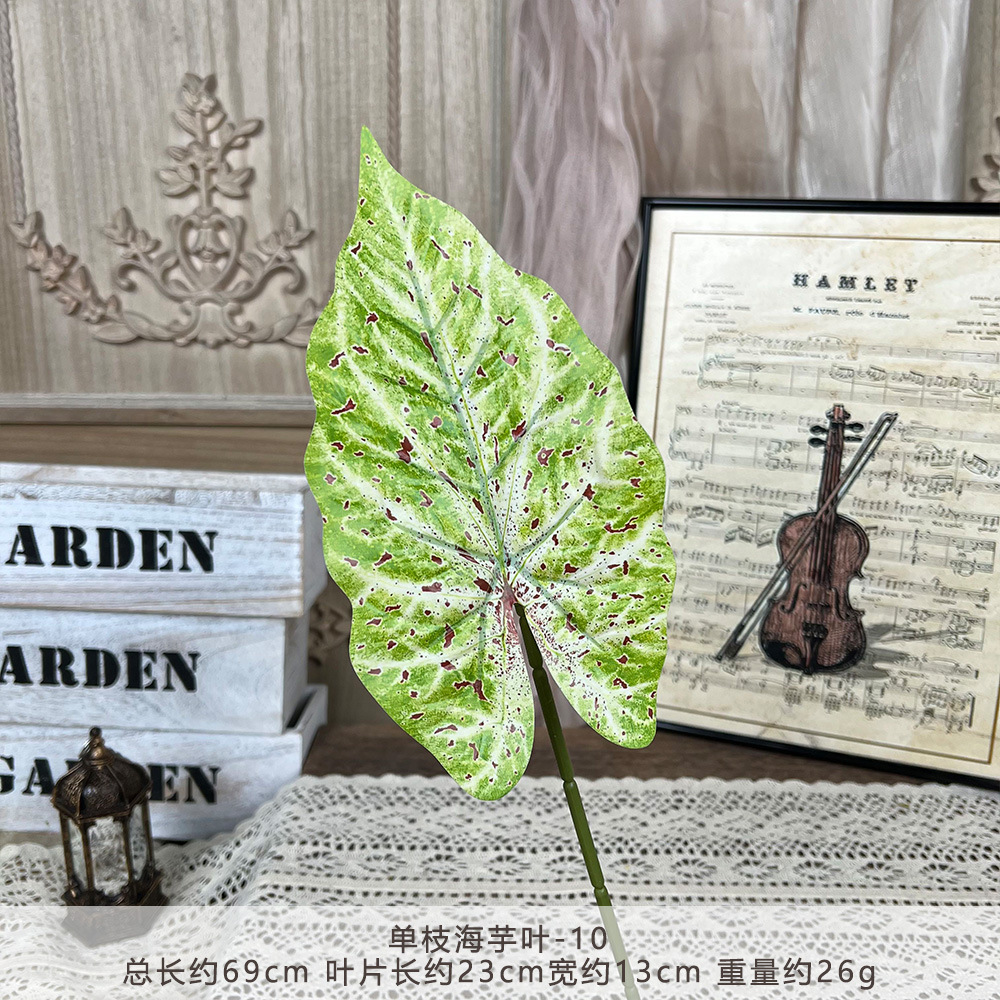 YM2-Single taro leaf-10