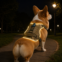 Harnais pour chien Qcool avec distribution de pression, sangle en nylon anti-traction, poignée dorsale, anneau en D métallique, pour l'entraînement en extérieur, taille moyenne, avec LED de sécurité pour animaux de compagnie