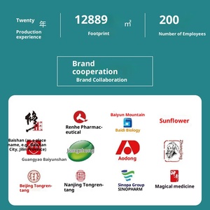 Patch de soulagement de la douleur lombaire Zangbahuang <span class=keywords><strong>Pharmaceutical</strong></span>, soulagement de la douleur dorsale, tension musculaire lombaire, soulagement de la compression nerveuse - Product Image 4