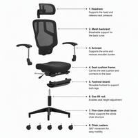Chaise de bureau de direction ergonomique moderne confortable pivotante en maille à dossier haut avec support lombaire réglable et accoudoirs