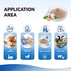 Extrait d'ail de qualité alimentaire en vrac, poudre d'extrait végétal, allicine 5%, emballage en fût, CAS n° 539-86-6 - Product Image 5