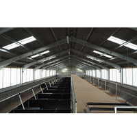 Structure métallique préfabriquée prête à l'emploi pour porcherie, conception de bâtiment d'élevage de porcs à ossature portique ouverte
