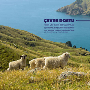 Feutre de <span class=keywords><strong>laine</strong></span> écologique fait à la main de Nouvelle-Zélande pour boule de séchage 7cm bricolage artisanat pour les projets de blanchisserie en gros en vrac de Noël - Product Image 4