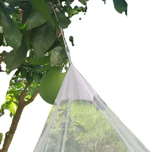 Polyester Treo Kim tự tháp mật độ cao muỗi Net giường tán cho người lớn