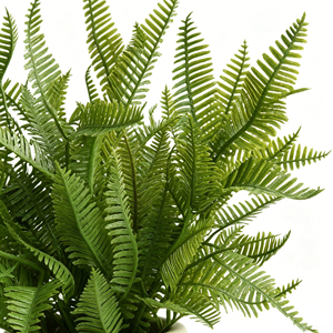 <span class=keywords><strong>Mini</strong></span>-plantes artificielles <span class=keywords><strong>en</strong></span> <span class=keywords><strong>pot</strong></span> A-LIFE 23,5-25 cm, <span class=keywords><strong>eucalyptus</strong></span> et fougère, pots <span class=keywords><strong>en</strong></span> pulpe de papier résistants aux UV, multi-pièces pour la décoration de la maison et du bureau - Product Image 6