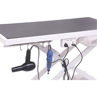 Table de toilettage élévatrice électrique pliable spéciale pour animaux de compagnie