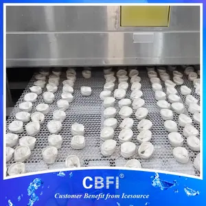 900kg/h Fully Automatic Frozen Dumpling Iqf Tunnel Freezer