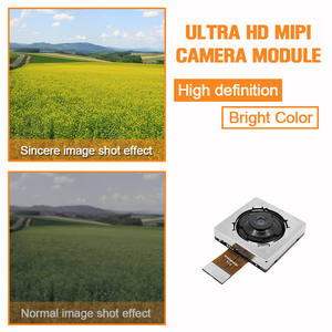OEM 1 Inch <strong>Camera</strong> Image Sensor <strong>Module</strong> Custom Diy <strong>Camera</strong> <strong>Module</strong> IMX989 For Mobile Phone - Product Image 6