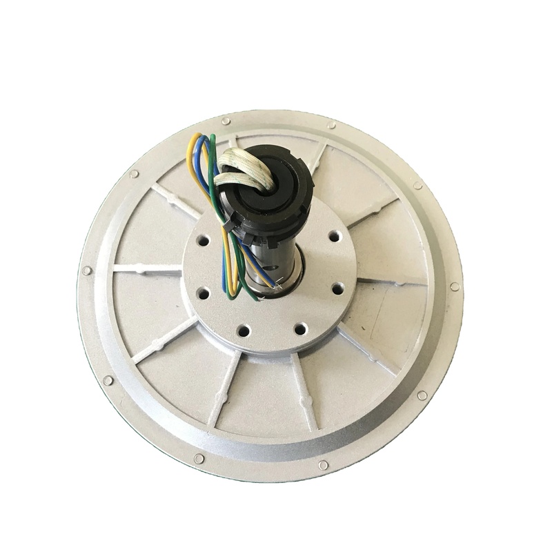 Wind Turbine Generator Motor 1000w 10