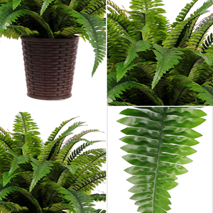 Feraula di Boston Artificiale di Lusso <span class=keywords><strong>in</strong></span> <span class=keywords><strong>Vaso</strong></span> Intrecciato, Pianta <span class=keywords><strong>in</strong></span> Plastica Fatta a Mano per Interni, per Vetrine di Caffetterie e Negozi, Arredamento Moderno per la Casa - Product Image 4