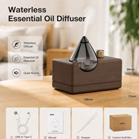 Diffuseur d'air froid en bois et verre, diffuseur nébulisant sans eau, aromathérapie, diffuseur d'huiles essentielles pures portable pour spa, salle de yoga