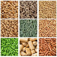 Machine de production de granulés d'aliments pour animaux d'élevage (volailles, porcs, bovins, moutons, chèvres) – Traitement haute efficacité pour fermes