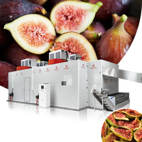 Industriële fruitdroger vijgen mesh-banddroger fruitdehydrator droogmachine warmtepomp fruitdroger vijgen mesh-band droogapparatuur