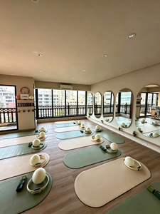 Set di Accessori Certificati per Yoga e Pilates: Tappetino Yoga in Silicone, Manubri, Anelli, Cerchio Pilates, Mini Palla, Fasce in Tessuto per Studio - Product Image 3