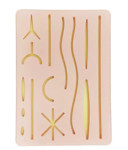 Set di 22 Strumenti in Acciaio Inossidabile per Studenti di Medicina, Aghi Anatomici, Attrezzature Sperimentali, Sonde, Forbici, Pinzette, Kit per Dissezione - Product Image 4