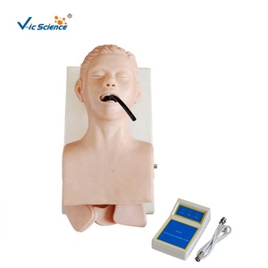 Modèle d'intubation de trachée humaine modèle d'intubation pour infirmière mannequin de soins infirmiers en science médicale - Product Image 1
