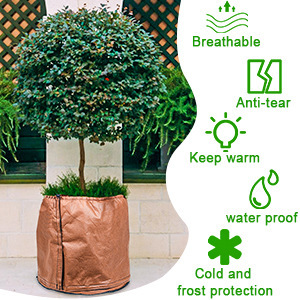 Housse de protection pliable en tissu pour plantes, anti-gel hivernal, pour pots de fleurs et rangement horticole - Product Image 6