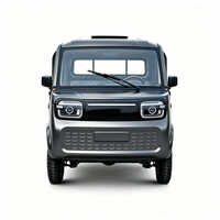 Camionnette électrique pour livraison commerciale, conduite à gauche, avec lecteur MP5