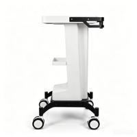 Chariot de salon professionnel en métal robuste U-T13 pour appareils de beauté