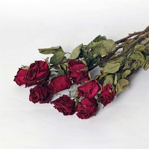 Flor de Rosa Austin Seca y Preservada, Estilo Campestre Inglés, X1313, en Venta - Product Image 5