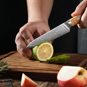 Ensemble de couteaux japonais professionnels en acier Damas à 67 couches, couteaux de chef Kiritsuke, Santoku, à désosser, à découper, à éplucher, manche en bois d'<span class=keywords><strong>olivier</strong></span> - Product Image 3