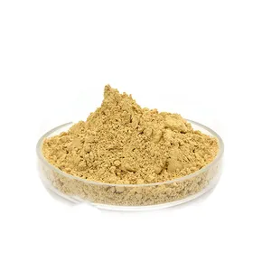 Wholesale Price Oyster Mushroom Extract Natural Extraction Oyster Powder