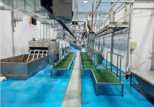 Tanque de Escaldado Eléctrico para Carcasas de Ovejas y Cabras, Equipo de Procesamiento para Mataderos - Product Image 6