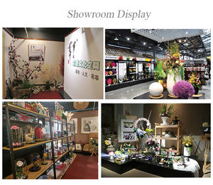 Preservada larga vida común Reed <span class=keywords><strong>Phragmites</strong></span> <span class=keywords><strong>Australis</strong></span> Hotel Decoración - Product Image 6