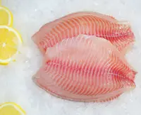 Filete Tilapia Fillet Ikan Nila Beku Berkualitas Tinggi