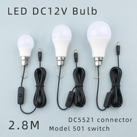 Ampoule LED 12V pour usage extérieur avec câble de 2,8 m, prise DC5521, interrupteur marche/arrêt, crochet métallique pour un accrochage facile