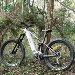 Vélo électrique QUEENE Ultra Ba Fang M620 avec moteur central, puissant VTT tout-terrain 1000 W, pneus larges TDE01Z, E-MTB hybride puissant - Product Image 1