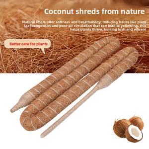 Tige de coco flexible, support naturel pour plantes grimpantes, poteau de modelage pour plantes d'intérieur, pour le jardinage domestique - Product Image 2