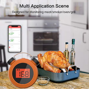 Thermomètre d'intérieur et d'extérieur sans fil pour la viande, pour la cuisine, avec 2 capteurs sensoriels MiniClock, outil de mesure - Product Image 3