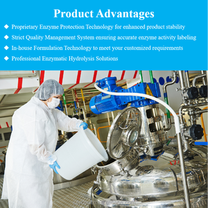 Factory Price Subtilisin Protease 200000U/g Subtilisin Enzyme Subtilisin - Product Image 4