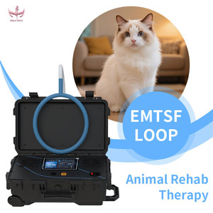 Dispositivo de Terapia de Rehabilitación Animal Magic Belle EMTSF Loop Eléctrico con Certificación CE, Equipo Portátil Veterinario para Alivio del Dolor en Mascotas - Product Image 1