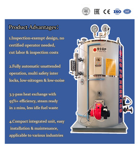 Générateur de vapeur à gaz entièrement automatique à haute efficacité pour la teinture textile, les vêtements, les fibres synthétiques, le traitement industriel, CE EAC IE - Product Image 4