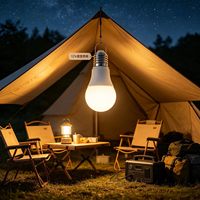 Ampoule LED personnalisée DC12V A60 5W/9W E27, efficacité lumineuse 80LM/W, CCT 6500K, PF0.6, IRC 70, éclairage mobile extérieur, éclairage de camping