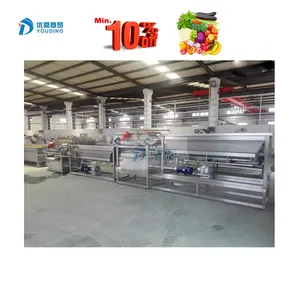 Complete Dried Fruits Processing Line Automatic Fruit Dehydrator Drying Machine
