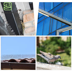 Pointes anti-oiseaux en acier inoxydable 30CM 50CM <span class=keywords><strong>pour</strong></span> le contrôle <span class=keywords><strong>des</strong></span> pigeons et <span class=keywords><strong>des</strong></span> insectes, logo personnalisable - Product Image 5