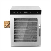 Innovatieve Ontwerp 800W Groente-en Droger Dehydrator Machine Met Voedsel Fabriek