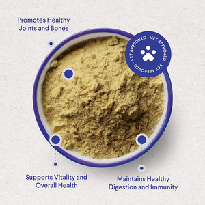 Poudre de vitamines nutritionnelles biologiques pour animaux de compagnie, multivitamines, compléments alimentaires pour la santé, soutien du système immunitaire et respiratoire pour chiens - Product Image 3