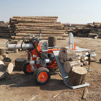 Fendeuse de bois hydraulique électrique haute puissance WP-283 entièrement automatique pour usage domestique, fendeuse rapide de bûches avec capacité de 28 tonnes