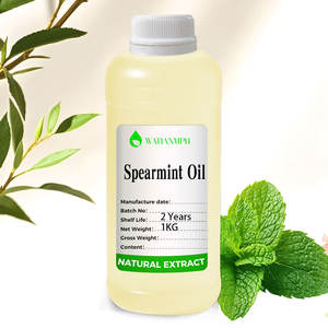 Extrait de menthe verte, huile essentielle de menthe, fourniture d'usine, huile essentielle naturelle pure pour cosmétiques - Product Image 3