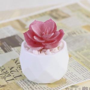 Nuevas Macetas Decorativas de Plástico Realistas para Suculentas, Centro de Mesa, Macetas Artificiales Rosas para Suculentas - Product Image 2