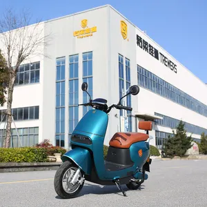 Motocyclettes électriques à grande vitesse CEE COC Europe cyclomoteur électrique 3000W vélo scooter pour adultes 1500W dot vente en gros de motos électriques à vendre