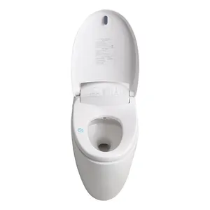 Hot Verkoop Item Bolina Fashion Stijl Keramische Verborgen Tank Vloer Gemonteerd Eendelig Smart Toilet