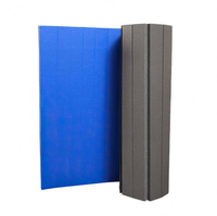 Tapis de gymnastique XPE sur mesure, antidérapant, en rouleau, pour gymnastique, cheerleading, lutte, jiu-jitsu, tatami